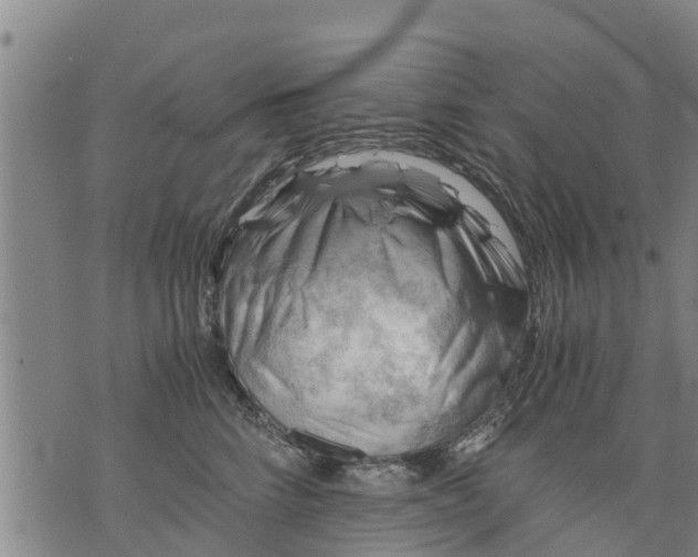 X0000075870712200610062003