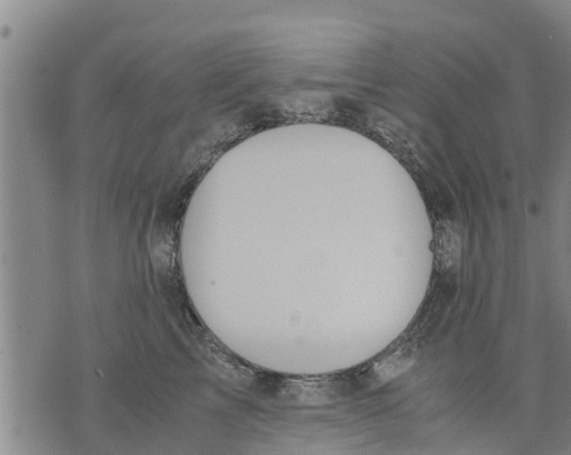 X0000075870713200610062003