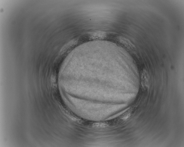 X0000075870714200610062003