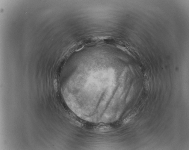 X0000075870716200610062003