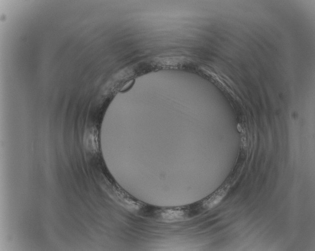 X0000075870718200610062003