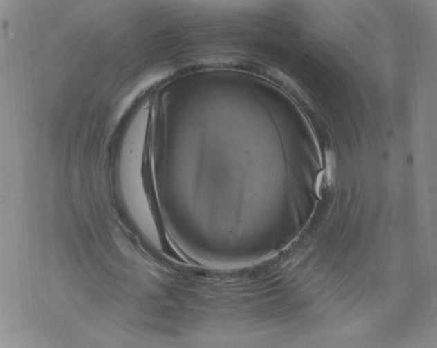 X0000075870723200610062002