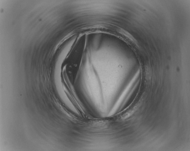 X0000075870826200610062000