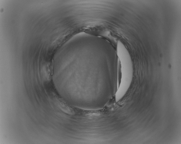 X0000075870868200610062000