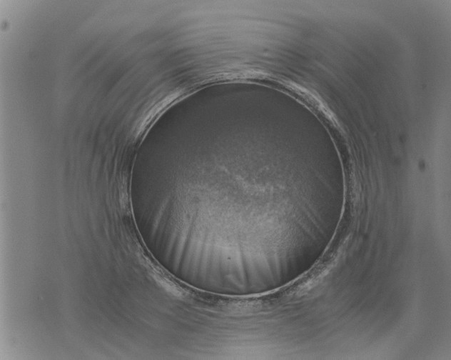 X0000075870889200610062000