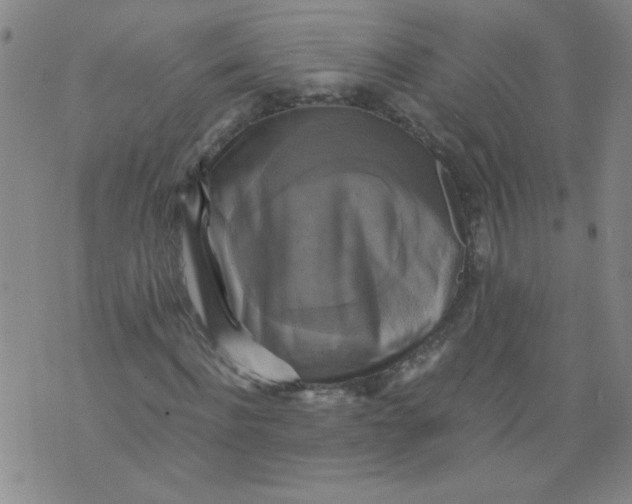 X0000075870916200610061959