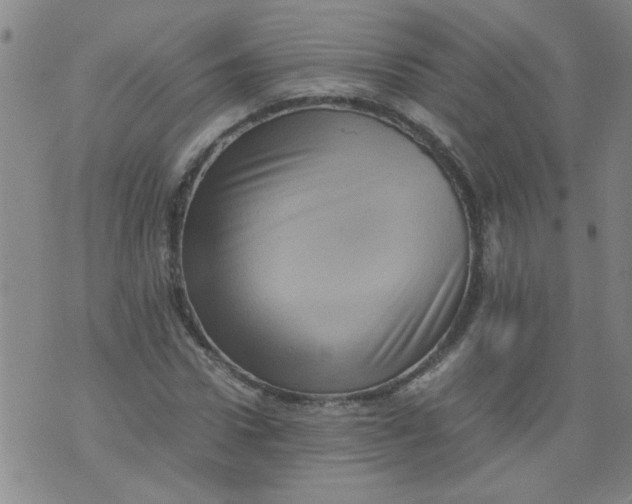 X0000075870922200610061959