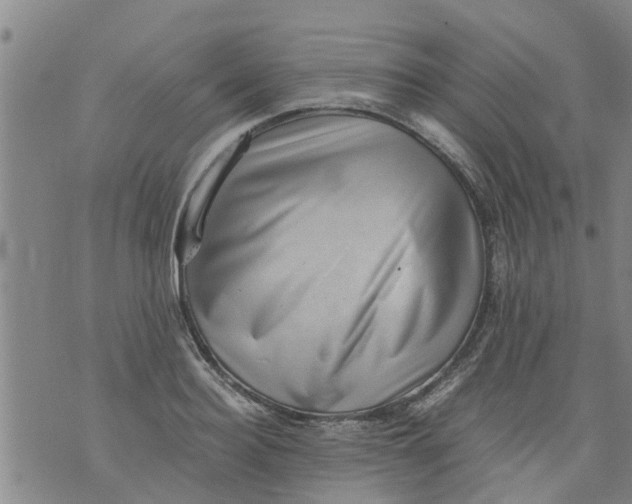 X0000075870940200610061959