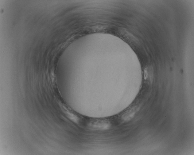 X0000075871011200610061957