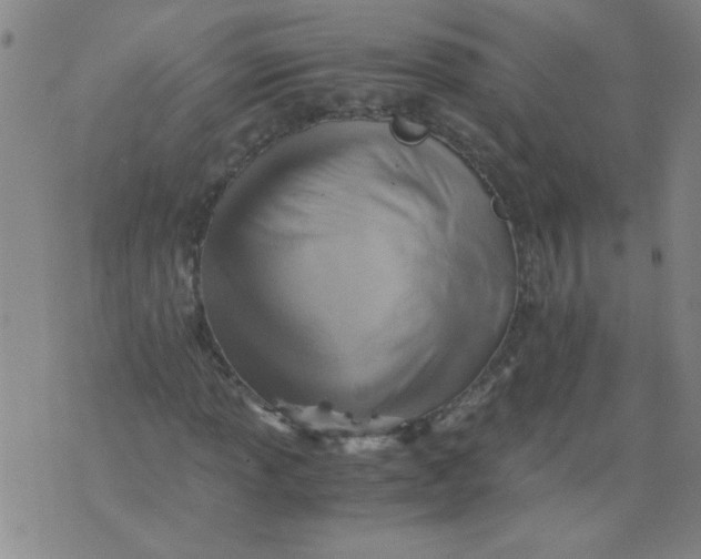 X0000075871013200610061957
