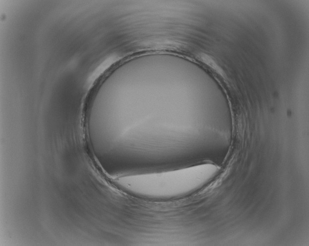 X0000075871071200610061957