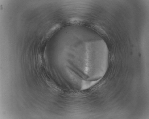 X0000075871106200610061956