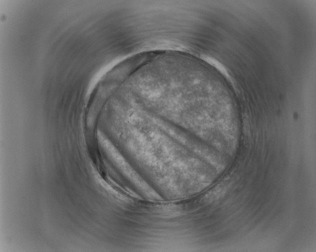 X0000075871120200610061956
