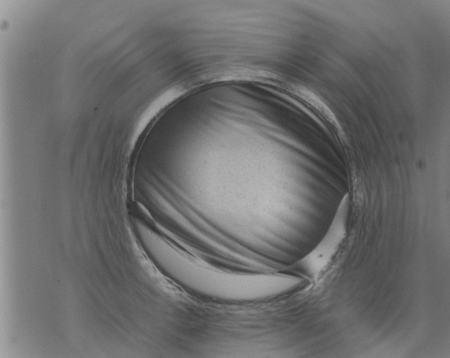 X0000075871138200610061956