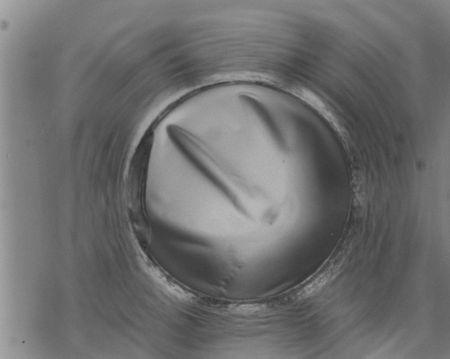 X0000075871140200610061956