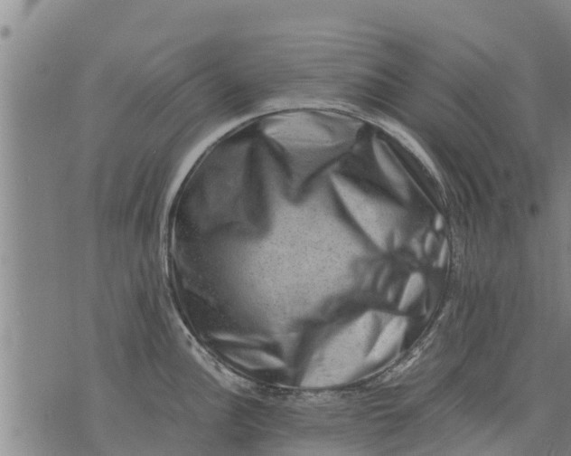 X0000075871148200610061956