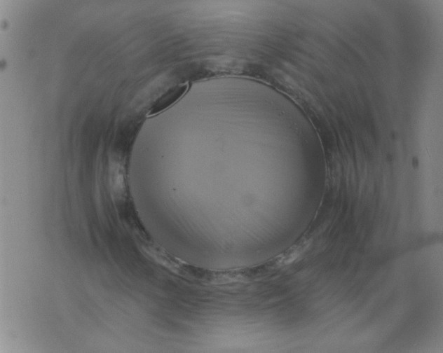 X0000075871154200610061955
