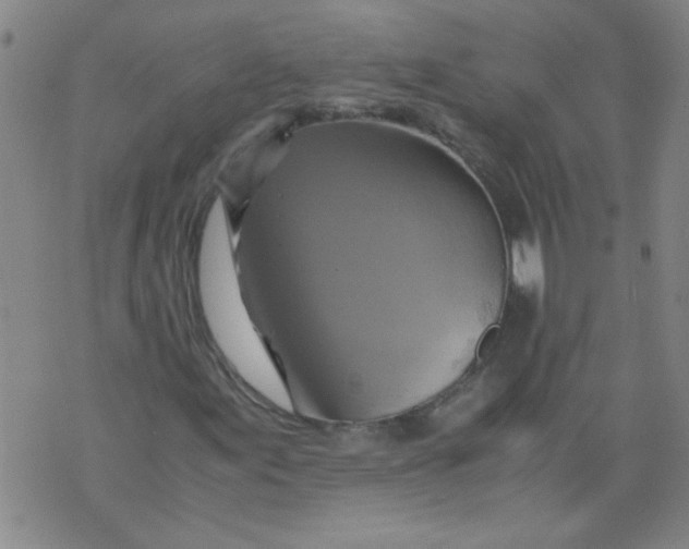X0000075871155200610061955