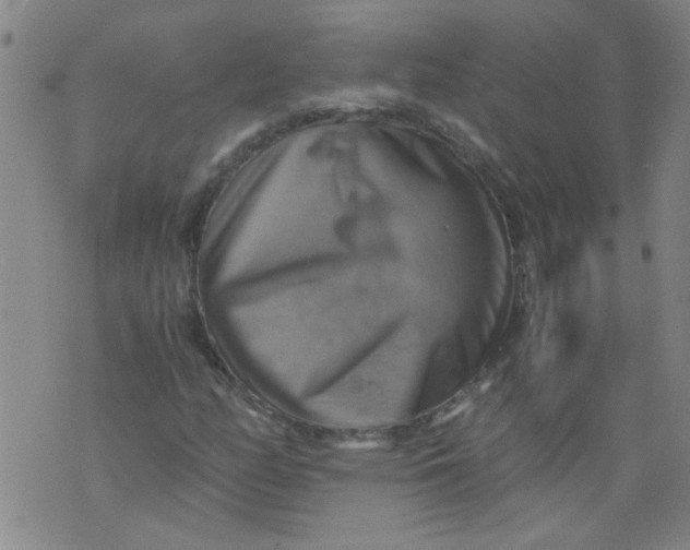 X0000075871158200610061955