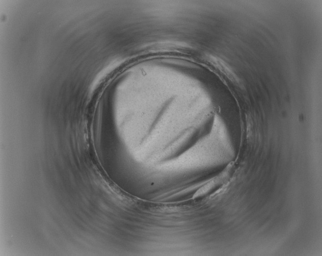X0000075871164200610061955
