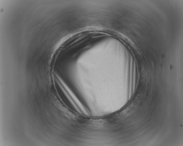 X0000075871168200610061955