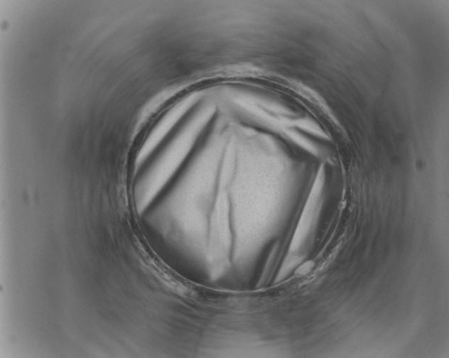 X0000075871176200610061955