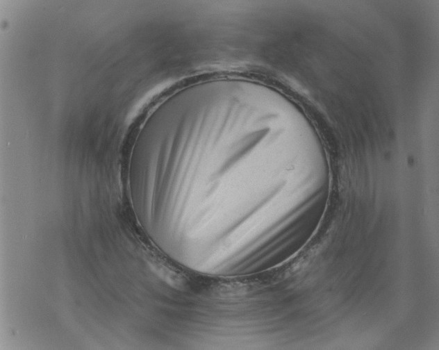 X0000075871214200610061954