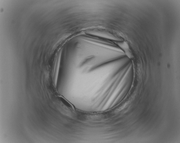 X0000075871257200610061954