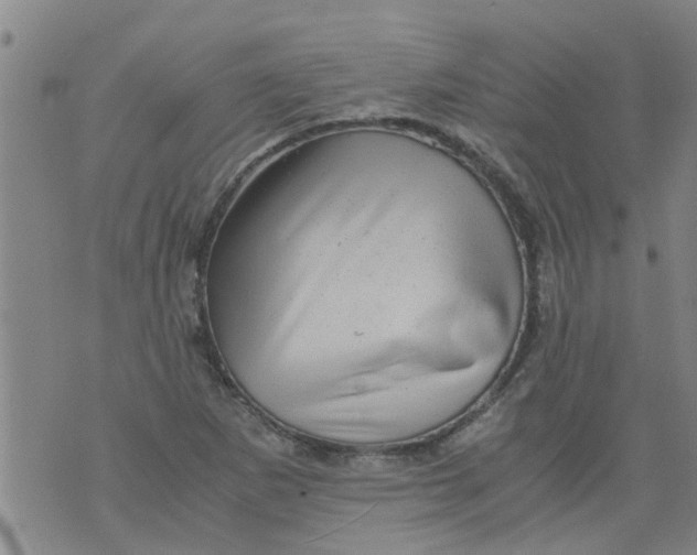 X0000075871265200610061954