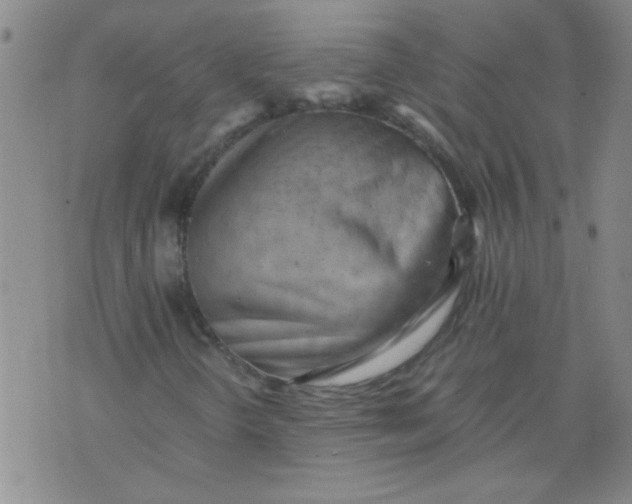 X0000075871298200610061952