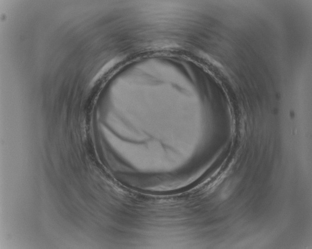 X0000075871306200610061953