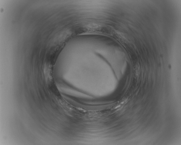 X0000075871346200610061952