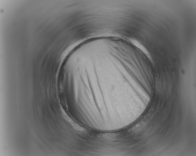X0000075871380200610061952