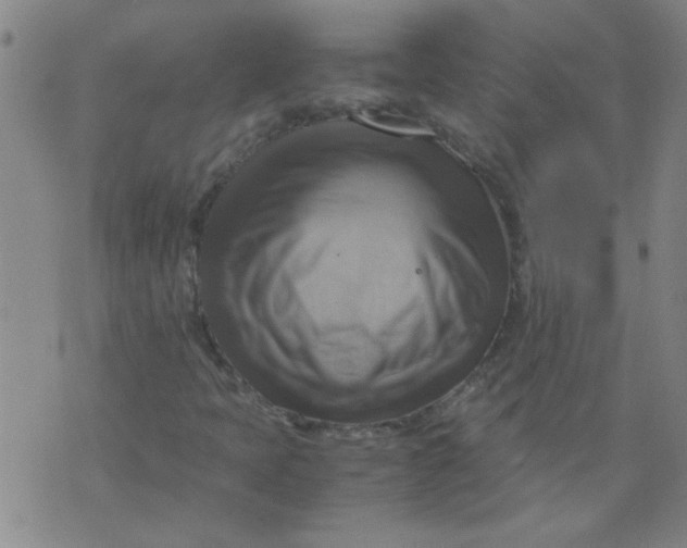 X0000075871397200610061951