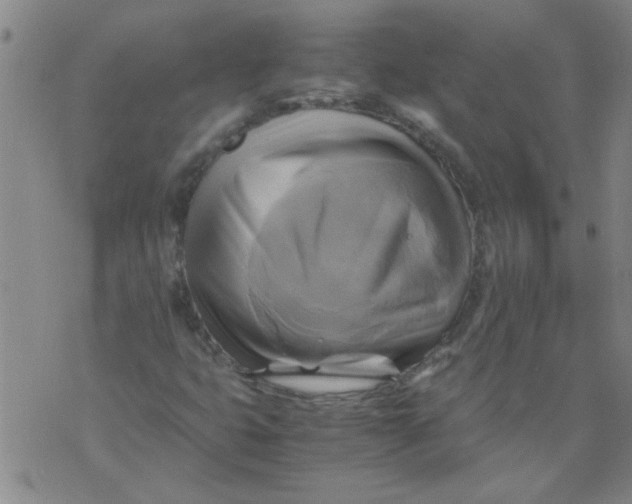 X0000075871399200610061951