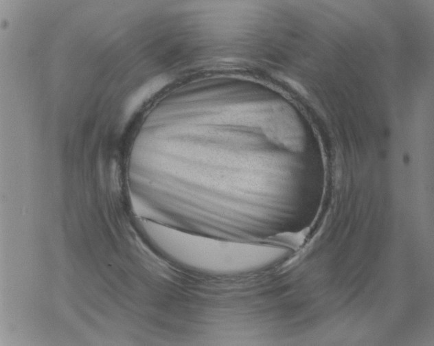 X0000075871402200610061951