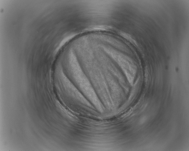 X0000075871404200610061951