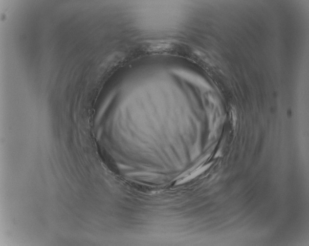 X0000075871441200610061951