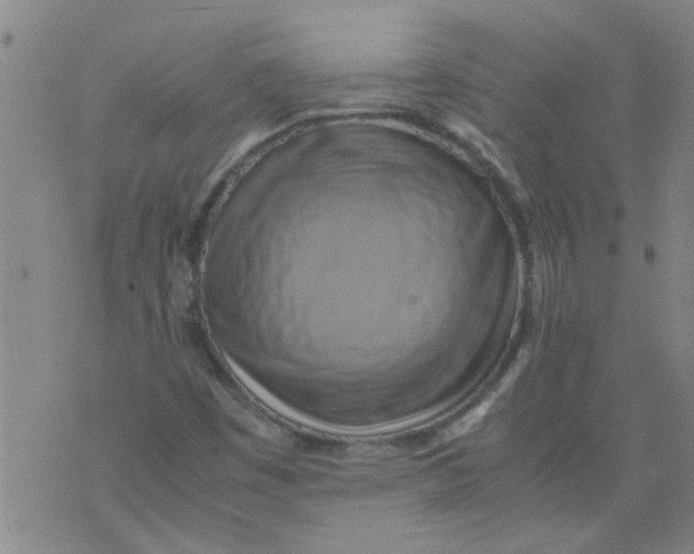 X0000075871449200610061951