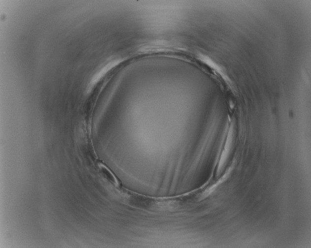X0000075871453200610061951