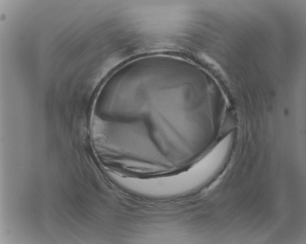 X0000075871457200610061951