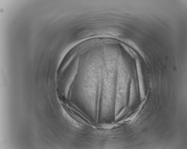 X0000075871532200610061950