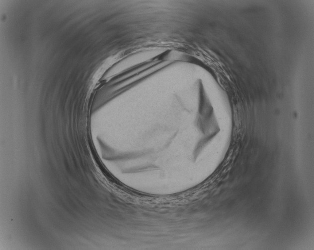 X0000075870003200610151712