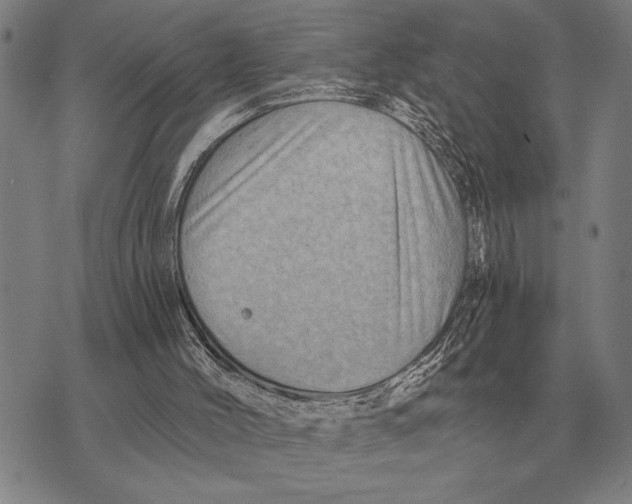 X0000075870004200610151712
