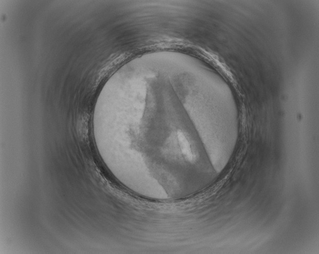 X0000075870010200610151712
