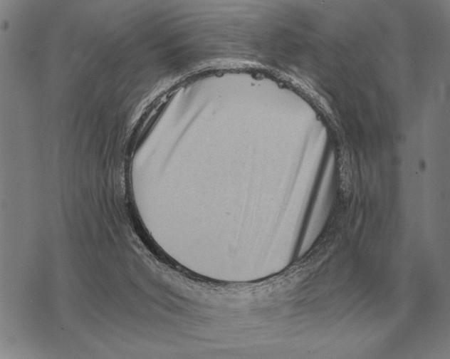X0000075870015200610151712