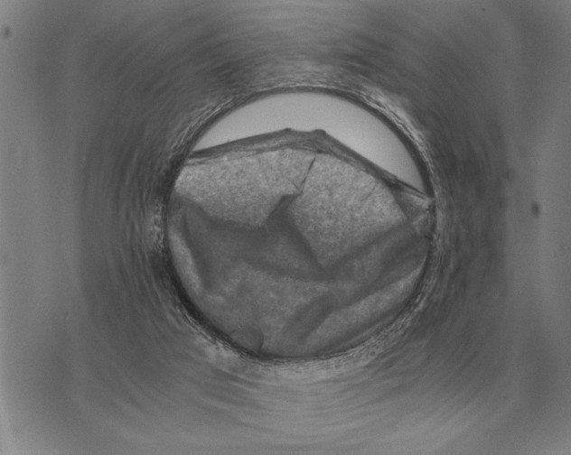 X0000075870017200610151712