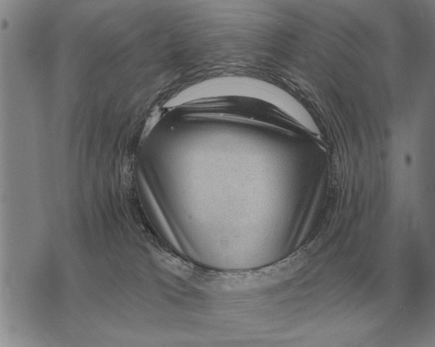 X0000075870037200610151711