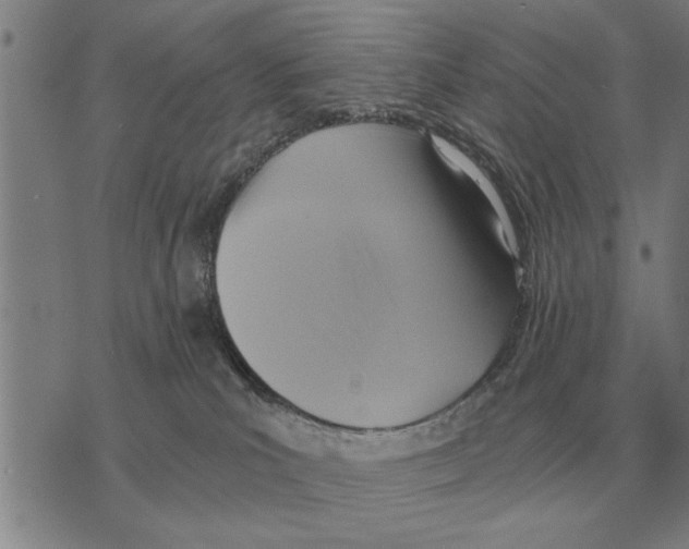 X0000075870039200610151711