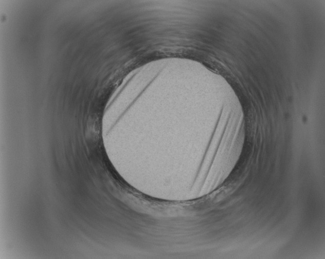 X0000075870040200610151711
